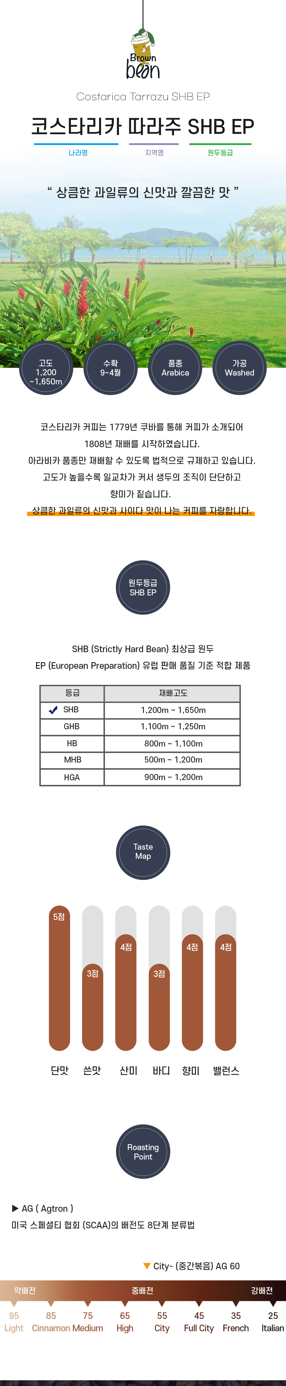 코스타리카 따라주 SHB 원산지, 향미와 로스팅 안내